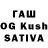 Псилоцибиновые грибы Magic Shrooms Taras Sliusar