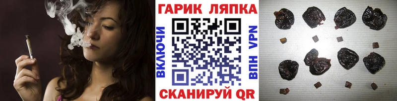 ГАШ гарик  как найти   Сясьстрой 