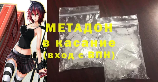 прущие грибы Алзамай