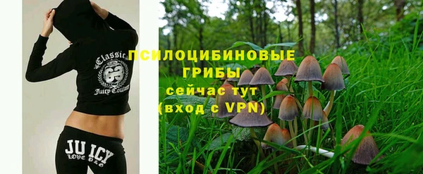 прущие грибы Алзамай