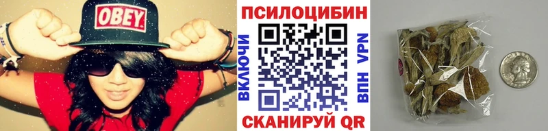 Галлюциногенные грибы ЛСД  Сясьстрой 